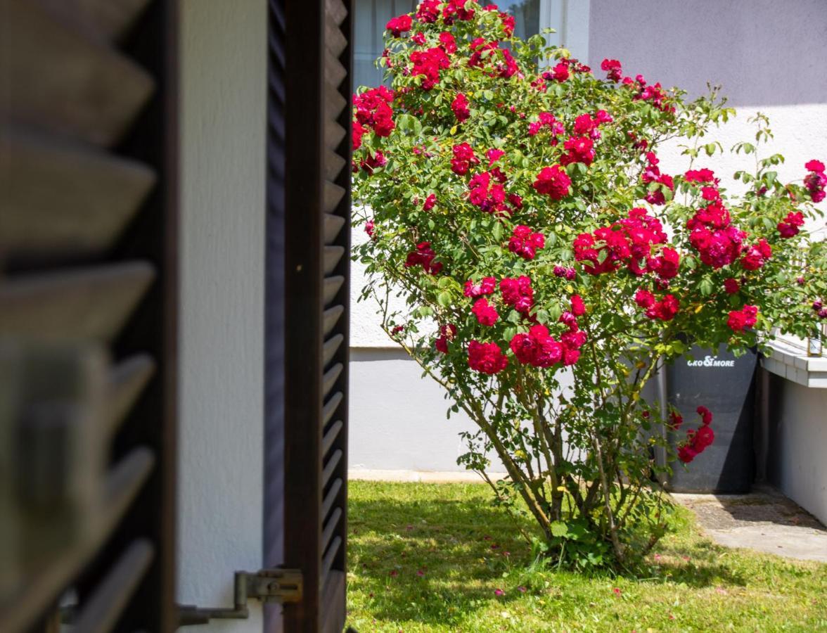 Wagna Apfelhausヴィラ エクステリア 写真